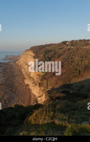 Hastings Country Park Sandstein-Klippen und Küsten. East Sussex. England-UK Stockfoto