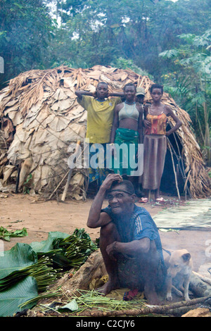 Pygmäen in den Wald, Republik Kongo Stockfoto