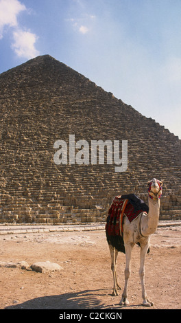 Große Pyramide von Cheops. Gizeh. Ägypten Stockfoto