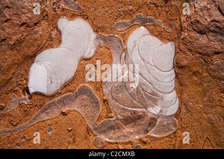 Wasser gefriert in der künstlerischen Formen auf den Felsen in Sedona, Arizona. Stockfoto