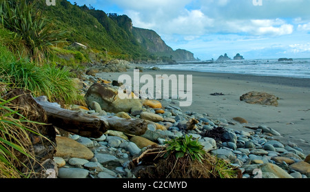 Pancake Rocks, Punakaiki, Paparoa National Park, West Coast, Südinsel, Neuseeland Stockfoto