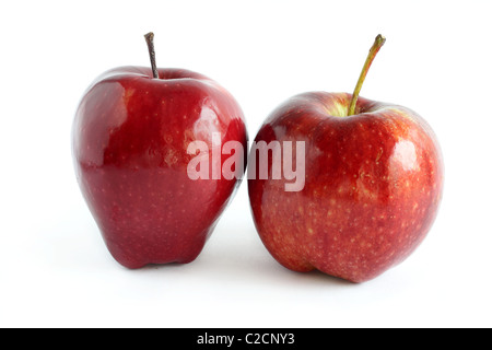 Zwei rote glänzende Äpfel Stockfoto