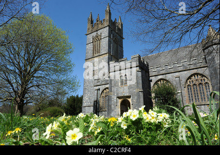 St. Marien Kirche Dartington Devon Uk Stockfoto