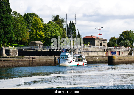 Hiram M Chittenden Locks, Lake Washington Ship Canal, Ballard, Seattle, Washington Stockfoto