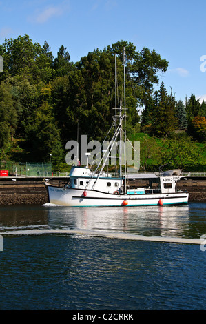 Hiram M Chittenden Locks, Lake Washington Ship Canal, Ballard, Seattle, Washington Stockfoto