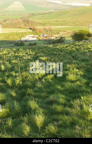 Der Blick von oben Steyning Schüssel heraus über die Adur-Tal und der South Downs National Park. Stockfoto