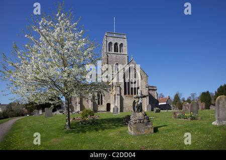 Str. Marys Kirche Wedmore an einem sonnigen Frühlingstag Stockfoto