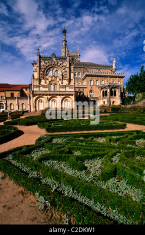 Bucaco Palace Hotel Planicies Portugal Stockfoto