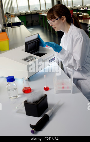 Laborant, Laborantin, in einem Labor Stockfoto