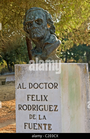 Felix Rodriguez De La Fuente-Statue im Palast Acebron, Nationalpark Doñana. Provinz Huelva, Andalusien. Spanien Stockfoto