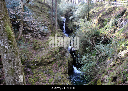 kleiner Wasserfall in Glendalough Wicklow Irland Stockfoto