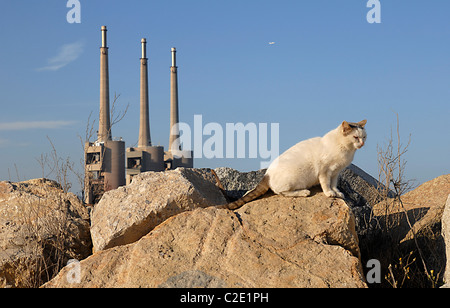 Kraftwerk in Sant Adria del Besos. Barcelona. Katalonien. Spanien Stockfoto