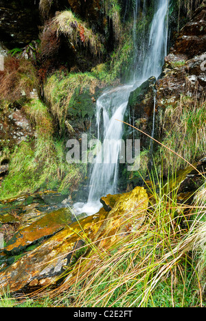 Kleiner Wasserfall im Coed Llyn y Garnedd, eine Mischung des 20. Jahrhunderts. Jahrhundert-Wald und alten naturnaher Wald. Stockfoto