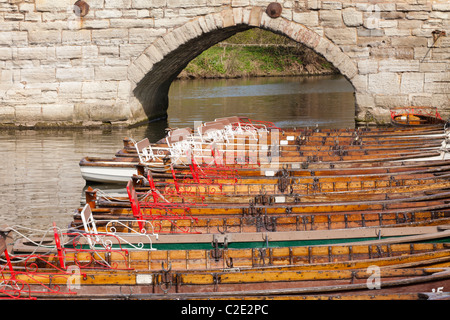 Ruderboote zu mieten am Fluss Avon in Stratford-upon-Avon, Warwickshire, England, UK Stockfoto