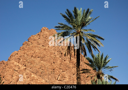 Dades Tal, Ouarzazate Province, Sous-Massa-Draa, hoher Atlas, Marokko, Afrika, Stockfoto