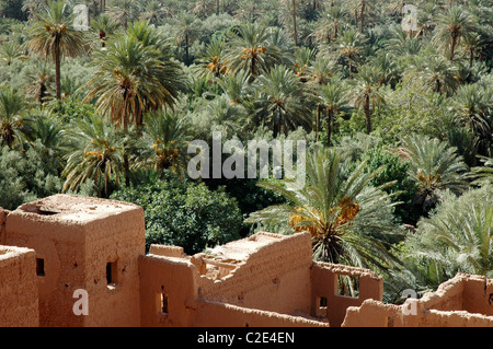 Dades Tal, Ouarzazate Province, Sous-Massa-Draa, hoher Atlas, Marokko, Afrika, Stockfoto