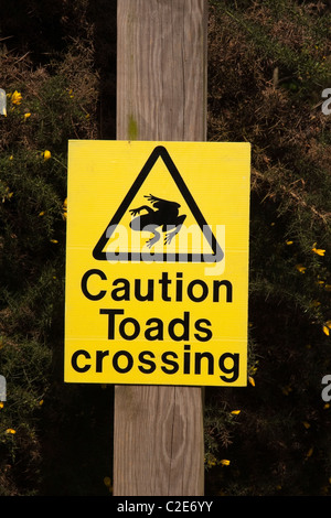 Achtung Kröten Crossing Warnschild am Straßenrand Stockfoto