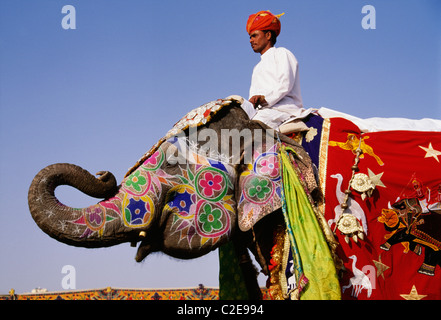 Jährliche ist März Rajasthan Elefant im Jaipur übermorgen Holi Festival. Das Festival ist eine Wiederbelebung der traditionellen Veranstaltung Stockfoto