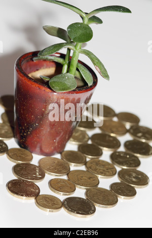 Geld Baum wächst Gelder Stockfoto