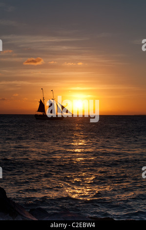 Segelschiff bei Sonnenuntergang, Key West, Florida Stockfoto