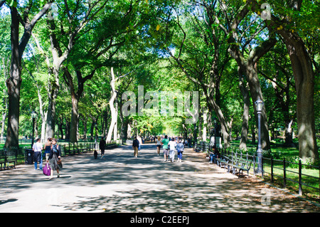 Die Mall und literarischen Spaziergang mit amerikanischen Ulmen bilden Baldachin, Fußgängerweg, Central Park, Manhattan, NYC Stockfoto