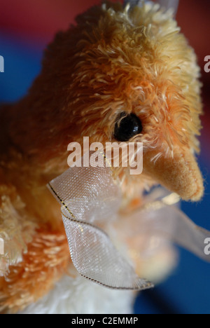 Huhn. Stockfoto