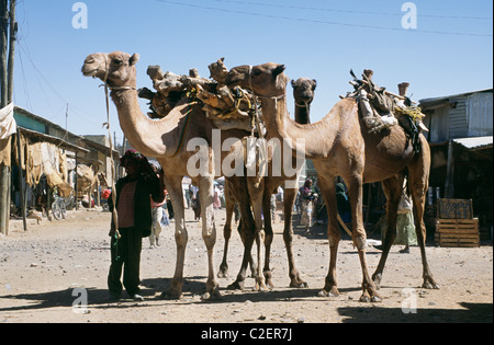 Axum Tigrai Provinz Äthiopiens Stockfoto