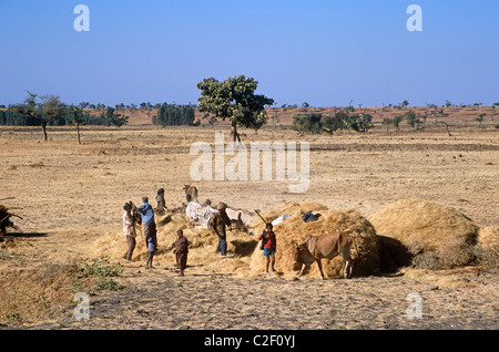 Axum Tigrai Äthiopien Stockfoto