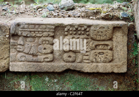 Quirigua, Guatemala Stockfoto