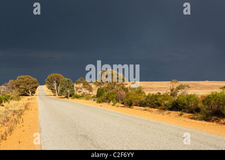 Straße mit Annäherung an Sturm über Outback Landschaft, Eneabba Western Australia Stockfoto