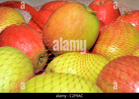 Rote und gelbe reife Äpfel im Netz Stockfoto