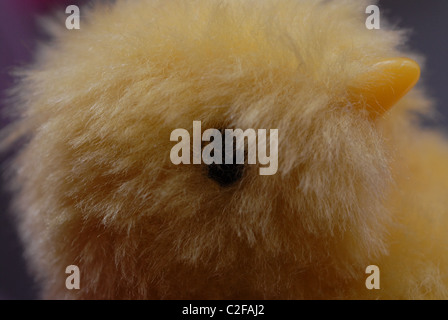 Flauschige gelbe Huhn. Stockfoto