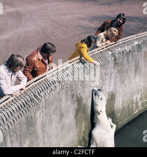 70er Jahre, Natur, Tierwelt, Ruhr Zoo Gelsenkirchen, Vivarium, Verbindung, Zoo-Besucher feed ein Eis Bär, D-Gelsenkirchen, Ruhrgebiet, Nordrhein-Westfalen, NRW Stockfoto