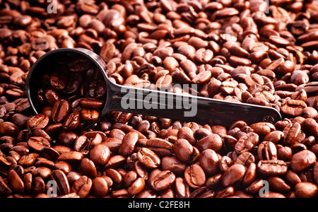 Kaffeebohnen und Messlöffel Stockfoto