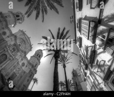 ES - Andalusien: Cadiz Kathedrale Stockfoto