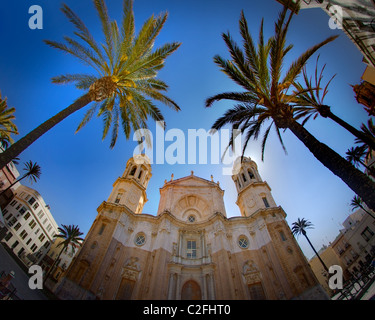 ES - Andalusien: Cadiz Kathedrale Stockfoto