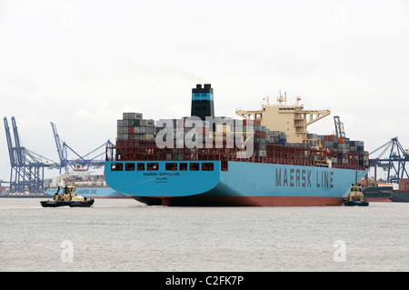 Maersk Edmonton Containerschiff Ankunft am Hafen von Felixstowe, Suffolk, UK. Stockfoto