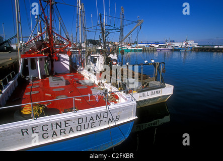 Angelboote/Fischerboote am Dock Stadt von Shippagan New Brunswick Provinz Kanada Nordamerika Stockfoto