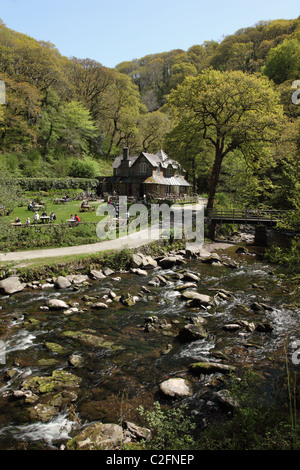 Watersmeet, Exmoor National Park Devon England, Großbritannien Stockfoto