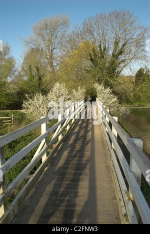 Fußgängerbrücke über den Fluß Cuckmere, das malerische Dorf Touristenort in der South Downs National Park. Stockfoto