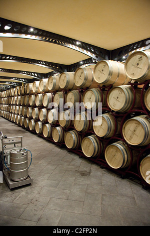 Fässer Wein im Weingut Corvo, Castedaccia in der Nähe von Palemermo Sizilien Stockfoto