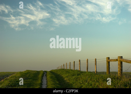 Fußweg zur Steyning Round Hill in der South Downs National Park Stockfoto