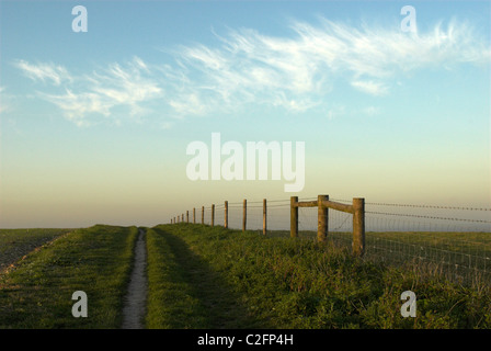 Fußweg zur Steyning Round Hill in der South Downs National Park Stockfoto