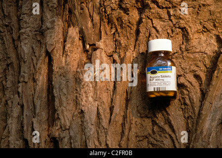 Weidenrinde und Aspirin Stockfoto