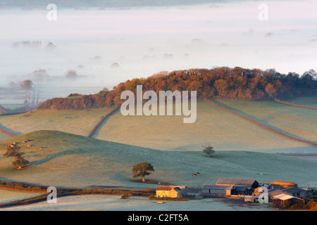 Ackerland in der Nähe von Westbury-Sub-Mendip, Somerset, an einem nebligen und frostigen Morgen. Stockfoto