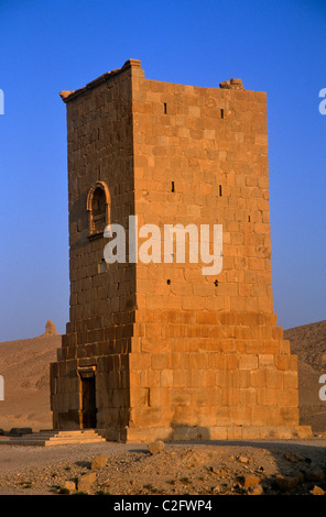 Palmyra-Syrien Stockfoto