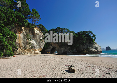 Mares Leg Cove, Te Whanganui-A-Hei Marine Reserve, Coromandel Halbinsel, Waikato Region, Nordinsel, Neuseeland Stockfoto