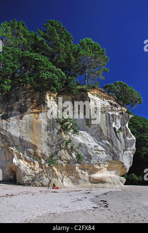 Mares Leg Cove, Te Whanganui-A-Hei Marine Reserve, Coromandel Halbinsel, Waikato Region, Nordinsel, Neuseeland Stockfoto