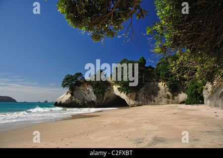 Cathedral Cove Beach, Te Whanganui-A-Hei Marine Reserve, Coromandel Halbinsel, Waikato Region, Nordinsel, Neuseeland Stockfoto