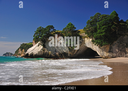 Cathedral Cove Beach, Te Whanganui-A-Hei Marine Reserve, Coromandel Halbinsel, Waikato Region, Nordinsel, Neuseeland Stockfoto